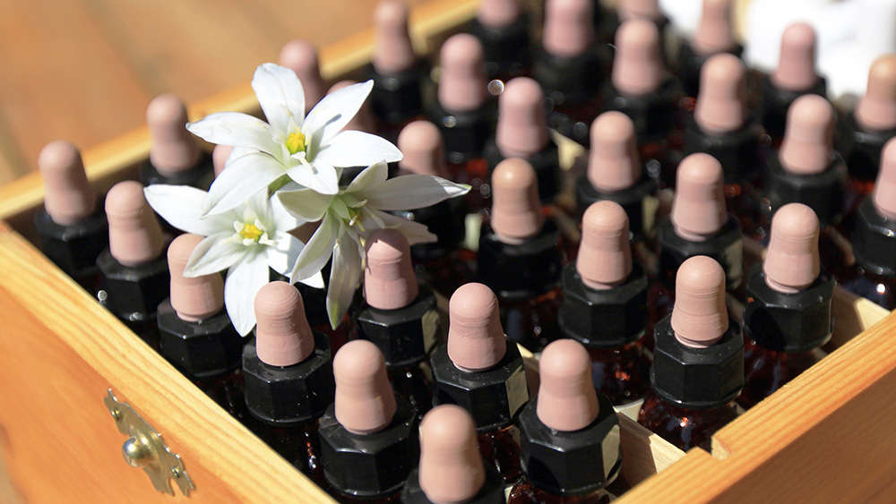 Boutique de gemmothérapie, huiles essentielles, fleurs de Bach
